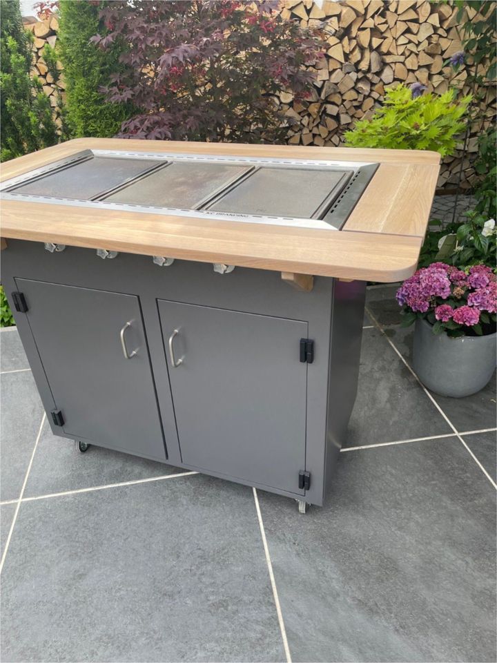 Grillrost Grillgitter aus Gusseisen Broil King Monarch 368x272mm in Hilpoltstein