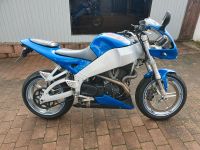 Buell XB9SX Hessen - Linsengericht Vorschau