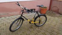 DAWES Cougar 26" Mountainbike 531 Stahl Saarland - Saarlouis Vorschau