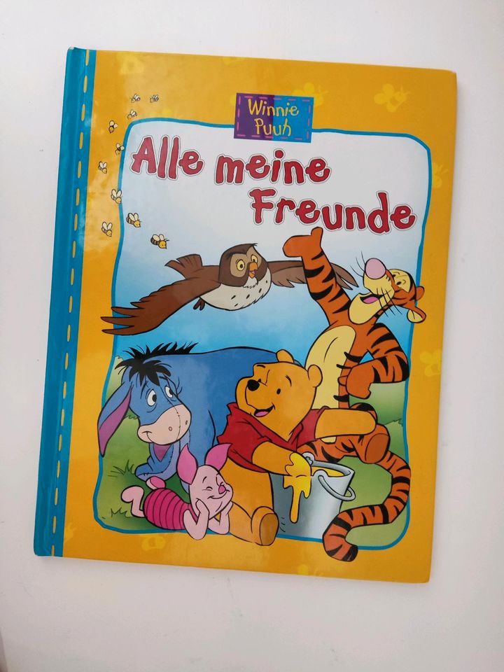 Winnie Pooh Entdecke Groß und Klein Kinderbücher Pu Bär in Gummersbach