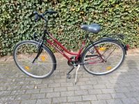 Fahrrad Damenrad Pegasus Nordrhein-Westfalen - Sankt Augustin Vorschau