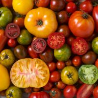 Tomaten-Saatgut, verschiedene Sorten Brandenburg - Blankenfelde-Mahlow Vorschau