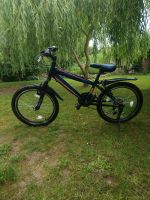 Talson 18 Zoll Kinderfahrrad Sachsen-Anhalt - Annaburg Vorschau