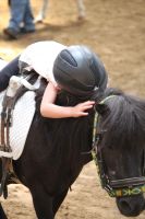 Reitunterricht für Klein und Groß / Reitbeteiligungen Harburg - Hamburg Neuenfelde Vorschau