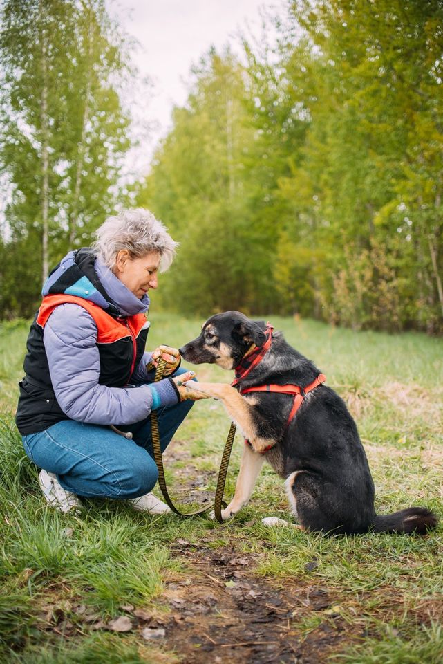 Tierschutz - Der liebevollste Hund Senya sucht seine Familie! in Bremen