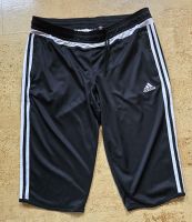 Adidas Climacool Bermuda leichte Damen-Sportshorts L 42/ 44 Hessen - Geisenheim Vorschau