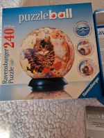 Puzzelball Katzen 3D Ravensburger Sachsen-Anhalt - Bad Schmiedeberg Vorschau