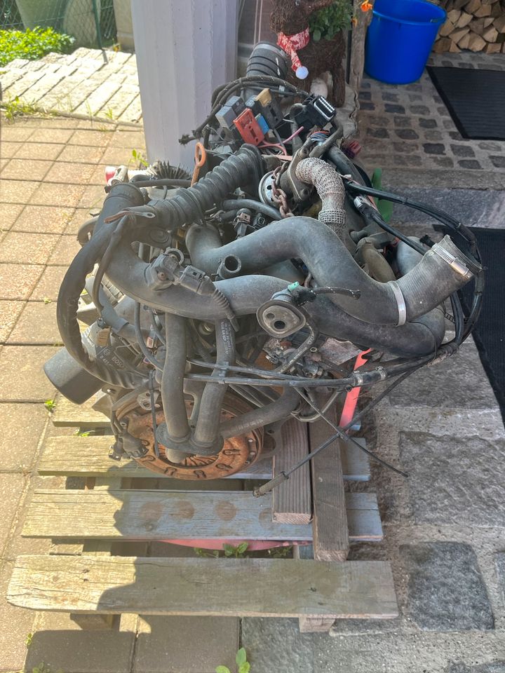 Audi Afn 1.9tdi Motor mit Quattro Antriebsstrang in Saaldorf-Surheim