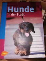 Sarah Whitehead - Hunde in der Stadt Sachsen - Dessau Vorschau