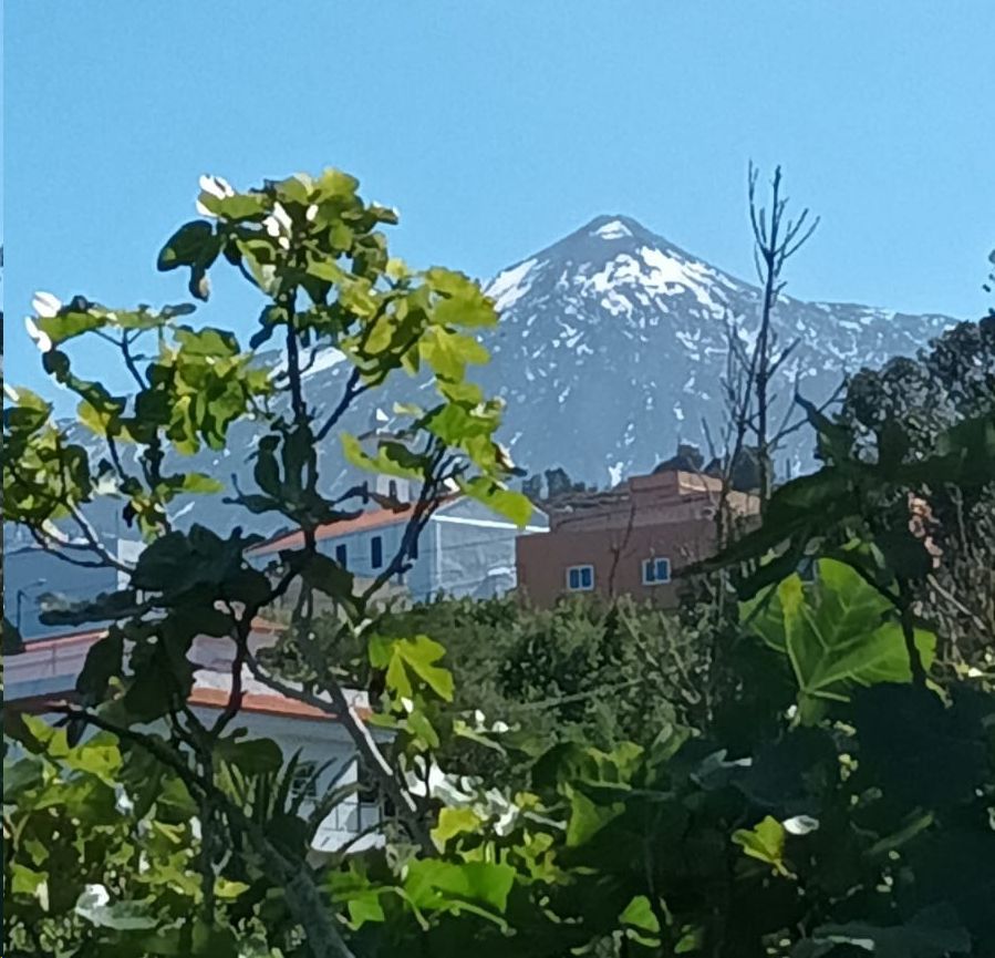 Teneriffa Ferienwohnung  Meer + Tide Blick Icod los Vinos La Vega in Saarlouis