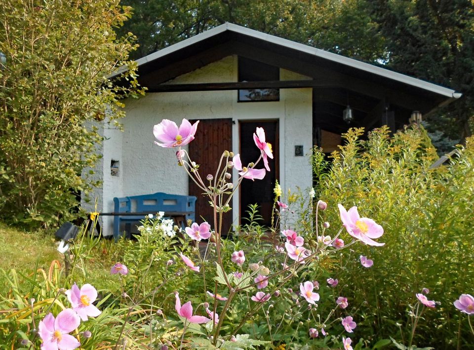 Eigentumsgarten in sehr reizvoller Lage zu verkaufen in Hartmannsdorf 