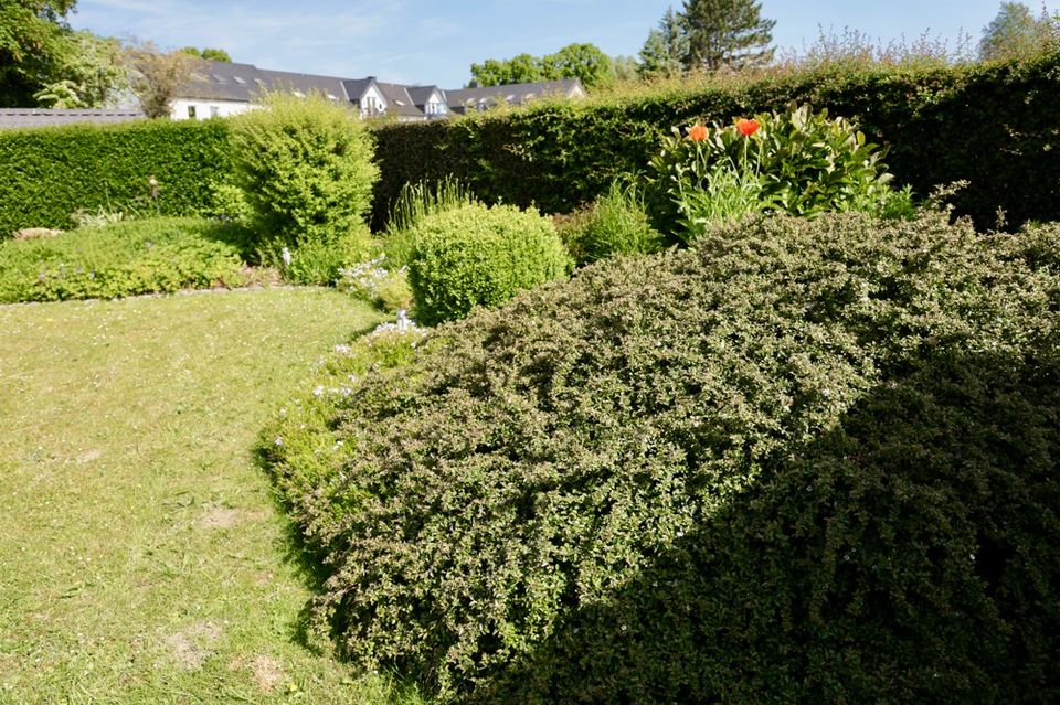 Hauset - Energetisches Einfamilienhaus mit wunderschönem Blick in die Natur in Aachen