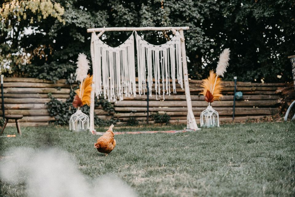 Verleih ❤ Ballonbogen Traubogen Fotohintergrund Hochzeit Geburtst in Keltern