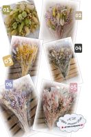 Strauß Trockenblumen 65g - Home Dekor, Sträuße, Boho, Hochzeit Nordrhein-Westfalen - Wenden Vorschau