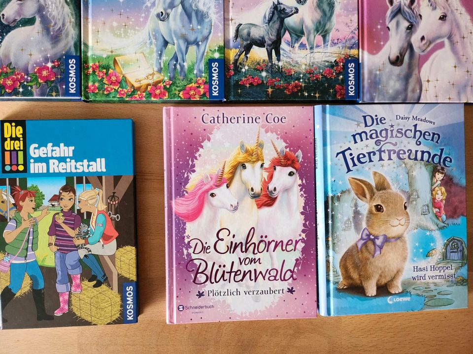 10 Bücher Mädels-Paket - Sternenschweif , Pferde , Die drei !!! in Hattenhofen