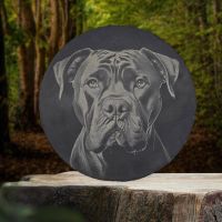 Cane Corso, Gravur, Molosser, Antik Dogge, 35cm Schieferplatte Nordrhein-Westfalen - Alsdorf Vorschau