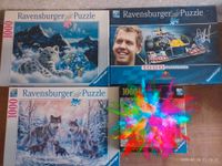 Verschiedene Puzzles (Ravensburger, Clementoni..) Nordrhein-Westfalen - Borken Vorschau