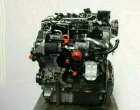 Kompletter Motor Engine VW Golf CAYC 1,6 Diesel 64TKm Turbo Leipzig - Eutritzsch Vorschau