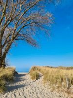 Angebot - Juni an der Ostsee Sehlendorfer Strand Ferienhaus Schleswig-Holstein - Blekendorf Vorschau