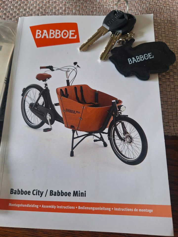 Babboe City / Babboe Mini in Ludwigshafen