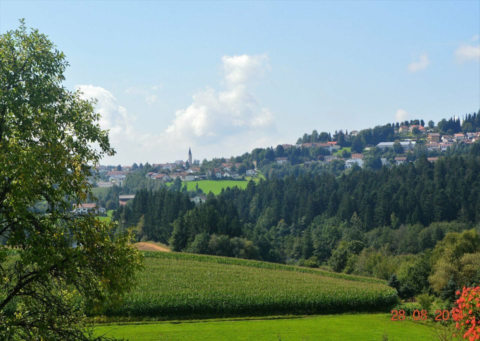 Ferienwohnung Bayerischer Wald, Hauzenberg, Hallenbad, Pool, usw. in Hauzenberg