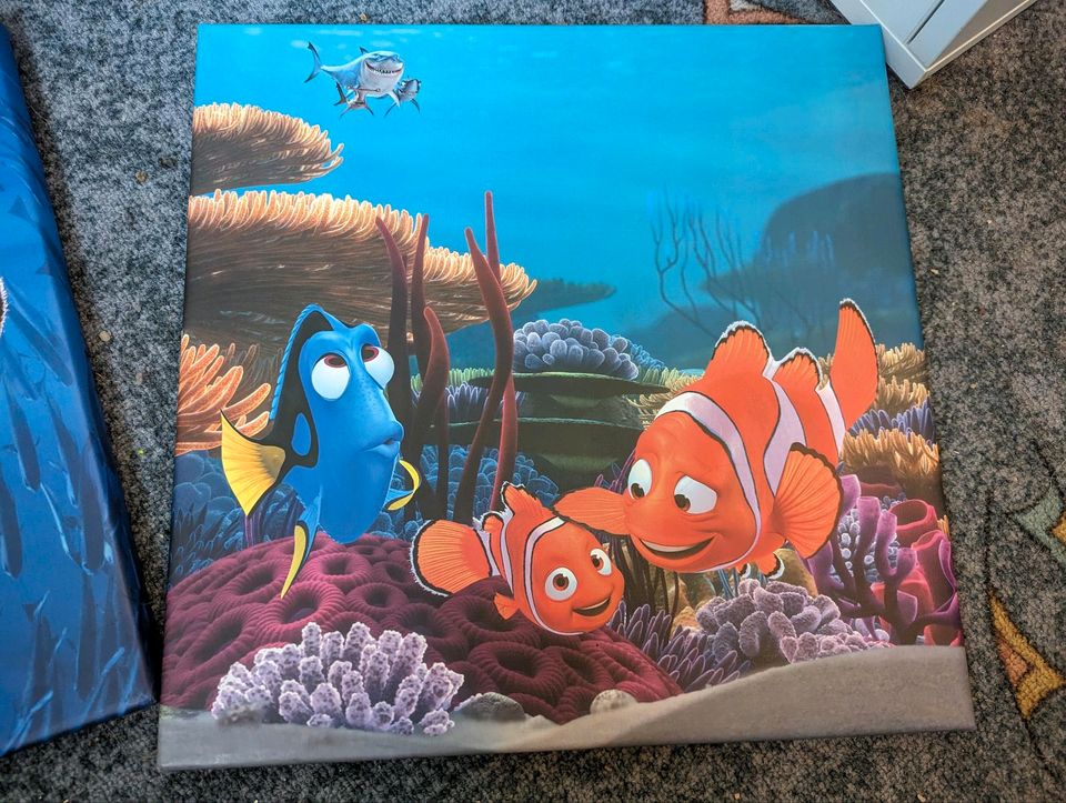 3 Findet Nemo Bilder in Haiger