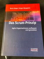 DAS SCRUM-PRINZIP - agile Organisationen aufbauen Berlin - Spandau Vorschau