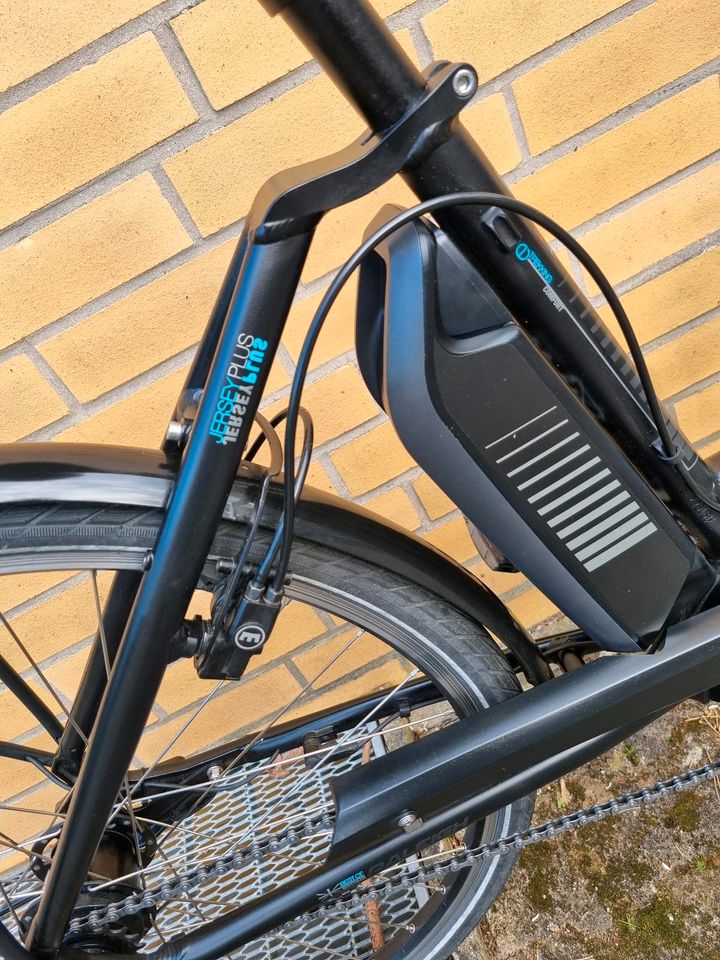 Neuwertig RALEIGH 28er, Bosch Active-line plus in Bad Bevensen