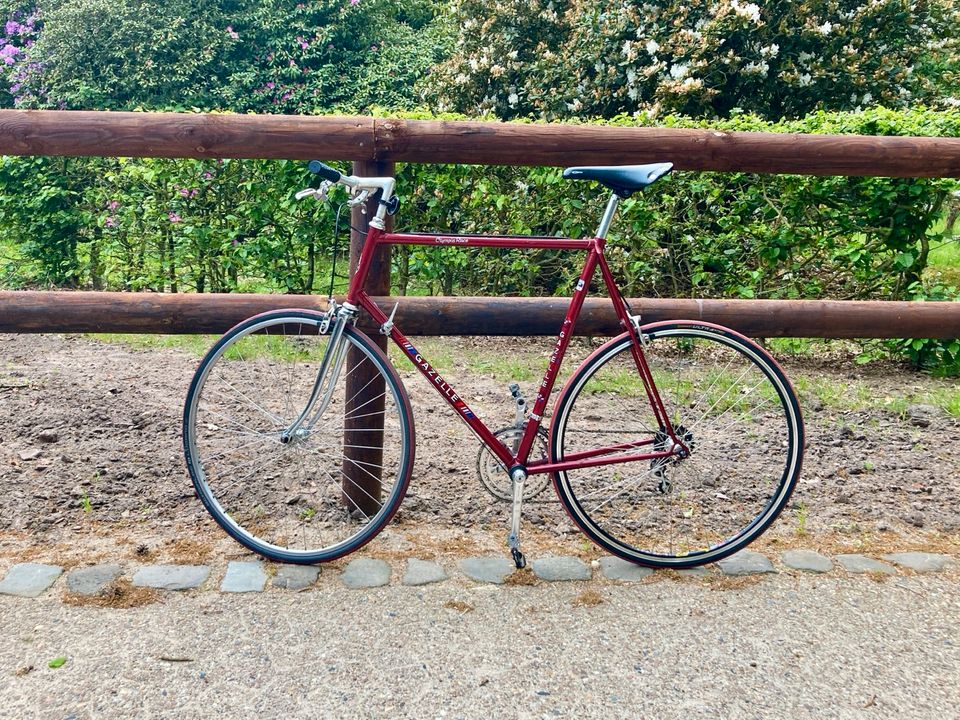 Gazelle Rennrad Vintage Olympia Race rot retro in Sottrum