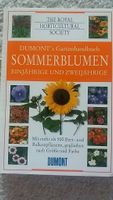 Sommerblumen, Garten, Pflanzen Nordrhein-Westfalen - Frechen Vorschau