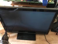 Panasonic TH-42PX80E TV Berlin - Lichtenberg Vorschau