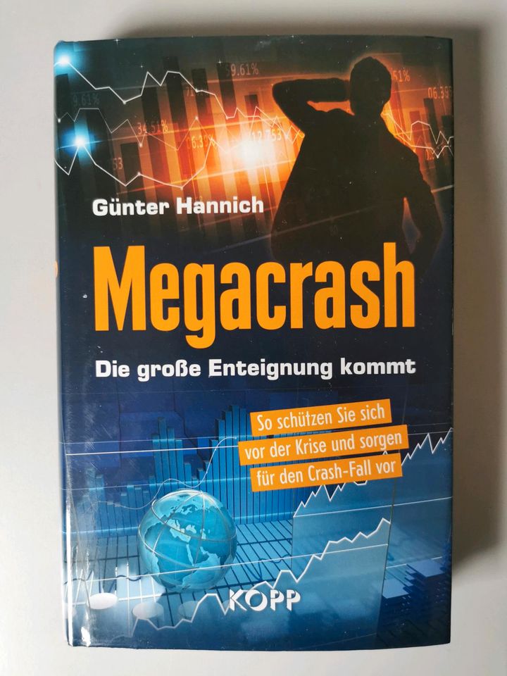 Megacrash Die große Enteignung kommt von Günter Hannich in Kerben