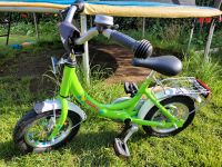 Puky ZL 12 Alu Fahrrad Kinder grün Fahrradlernhilfe Schiebestang Bayern - Fürth Vorschau