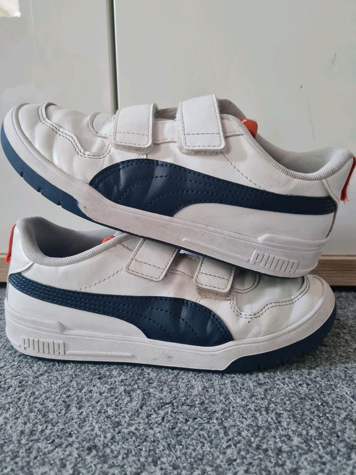 Puma Sneaker. Gr. 35. in Ingolstadt