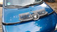 Peugeot 206 CC Grill Front Kühlergrill Frontmaske Schwartz Nordrhein-Westfalen - Bönen Vorschau