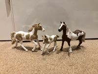 Schleich Pferde Paint Horse Familie Niedersachsen - Celle Vorschau