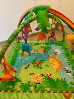 Fisher Price Spielbogen Hessen - Gießen Vorschau