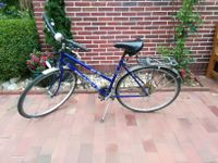 Peugeot Vintage Fahrrad Rennrad Tourenrad 1970er lila 17 Zoll Niedersachsen - Hatten Vorschau