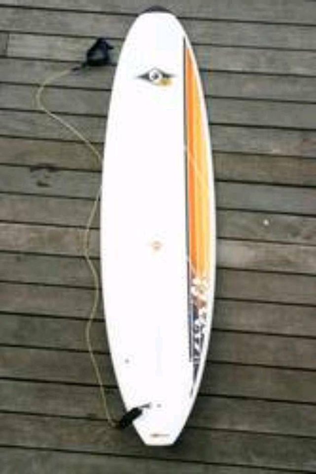 BIC Surfboard Mini Malibu 7'3" leihen inkl. Leash und Boardbag in Hamburg