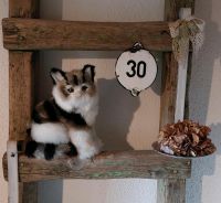 ❤️ Deko Katze/Landhaus/Shabby/Vintage/Brocante/Geschenk Wurster Nordseeküste - Padingbüttel Vorschau