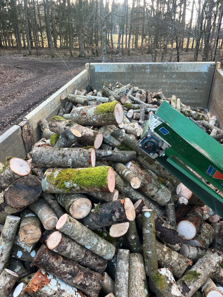 Brennholz, Kaminholz, Feuerholz, Holz, Buche, Esche, Waldfrisch, in Mehrstetten