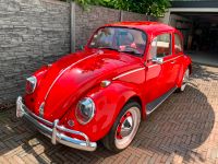 Volkswagen Käfer BJ1966 Düsseldorf - Benrath Vorschau