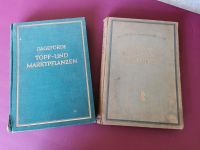 Dageförde Topf-und Marktpflanzen + Unsere Freilandstauden Buch Sachsen - Limbach-Oberfrohna Vorschau
