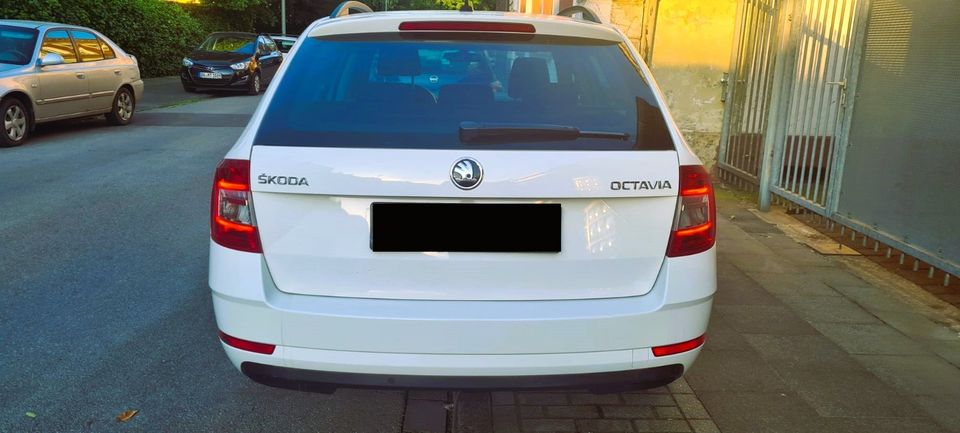 Skoda Octavia 1.6 TDI TÜV neu in Duisburg