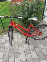 Hercules Flash Damen Alu Fahrrad  28 Zoll rot/weiß Rheinland-Pfalz - Rosenkopf Vorschau