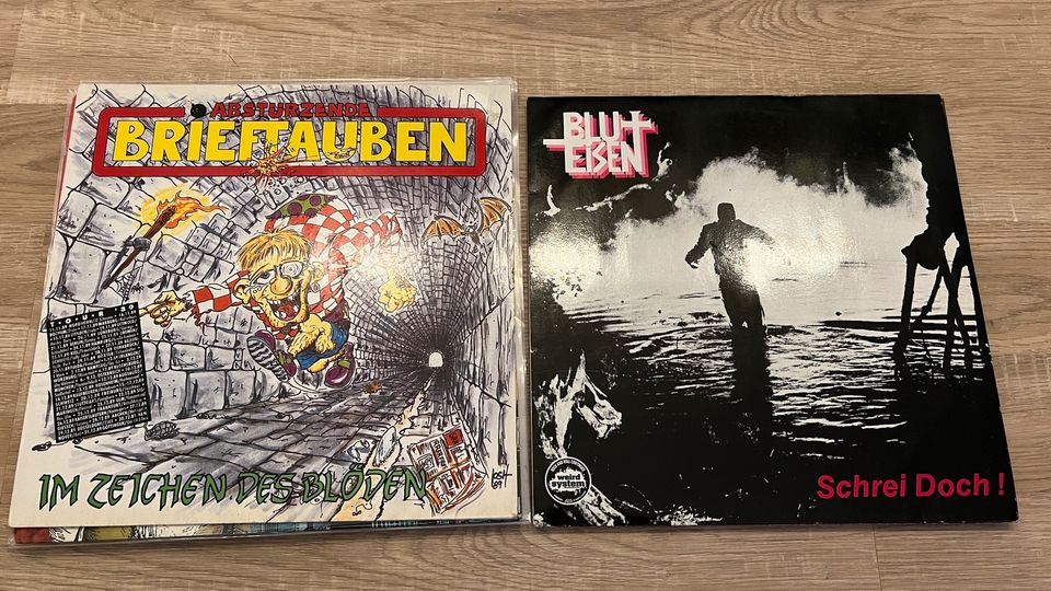 Punk LP Sammlung Vinyl Schallplatten Crass Brieftauben Punkrock in Graben (Lechfeld)