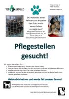 Hilfe für Hunde aus Kroatien Bayern - Gaimersheim Vorschau