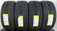 4x 245/45R18 100V AUSTONE SKADI SP-901 WINTERREIFEN XL #1I3K Bayern - Bad Tölz Vorschau