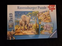 Ravensburger Puzzle 3x49 Wilde Tiere Berlin - Lichterfelde Vorschau