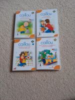 Caillou DVDs Teil 4, 6, 7, 12 kindergeschichten, Kinder DVD Niedersachsen - Buchholz in der Nordheide Vorschau